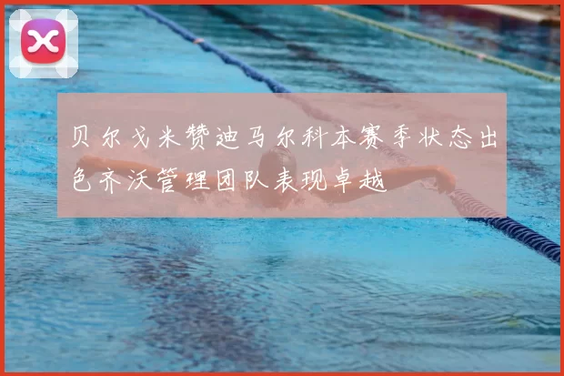 贝尔戈米赞迪马尔科本赛季状态出色齐沃管理团队表现卓越