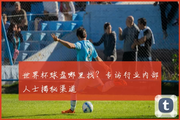 世界杯球盘哪里找?专访行业内部人士揭秘渠道