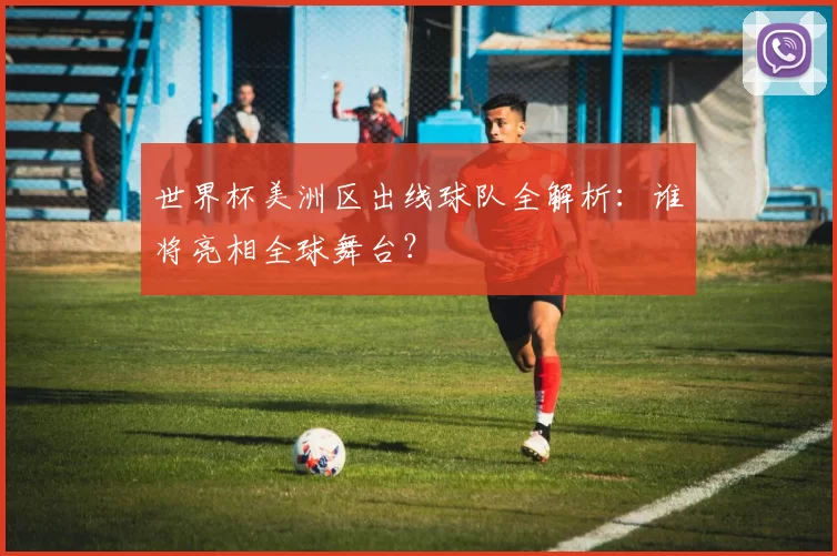 世界杯美洲区出线球队全解析：谁将亮相全球舞台？