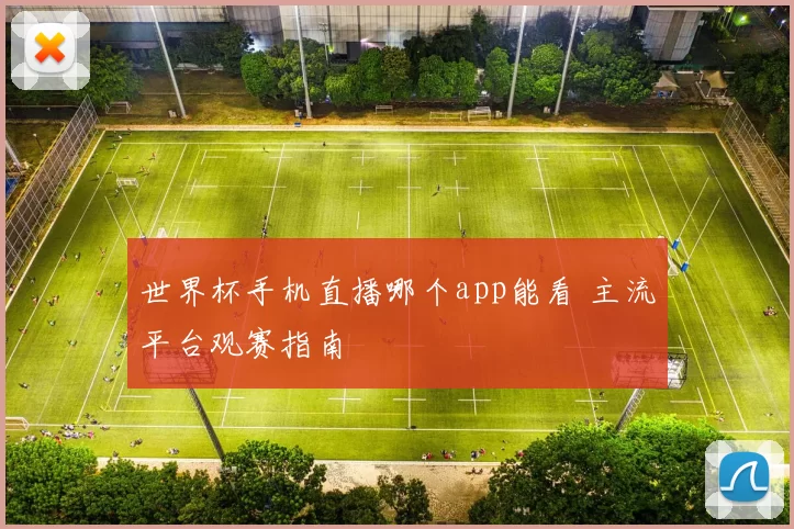 世界杯手机直播哪个app能看 主流平台观赛指南
