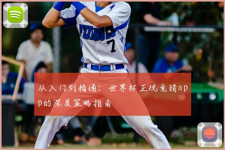 从入门到精通:世界杯正规竞猜app的深度策略指南