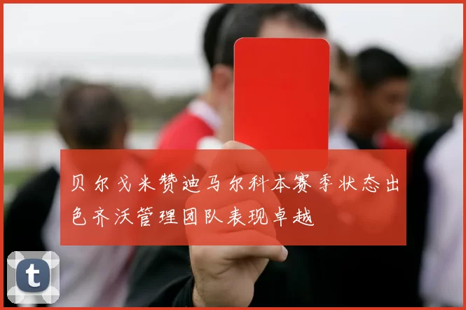 贝尔戈米赞迪马尔科本赛季状态出色齐沃管理团队表现卓越