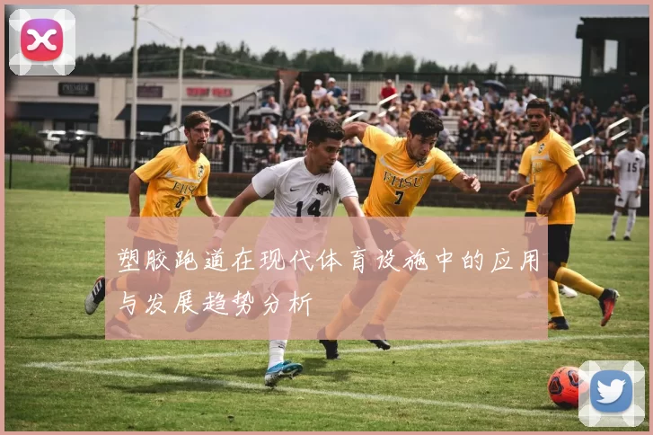 塑胶跑道在现代体育设施中的应用与发展趋势分析