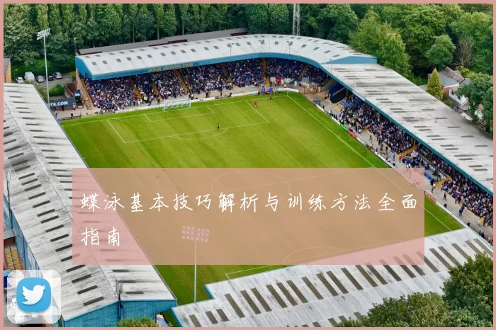 蝶泳基本技巧解析与训练方法全面指南
