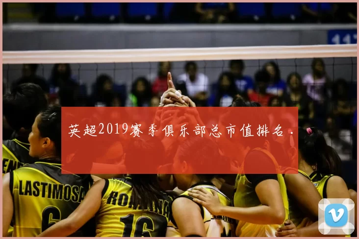 英超2019赛季俱乐部总市值排名 .