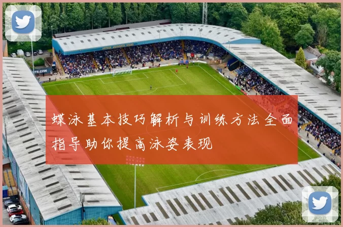 蝶泳基本技巧解析与训练方法全面指导助你提高泳姿表现