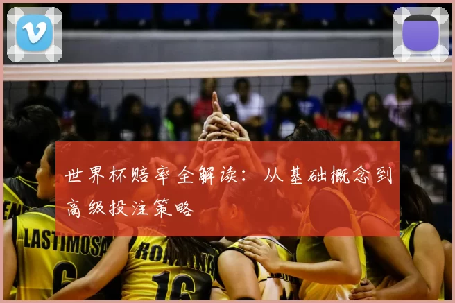世界杯赔率全解读:从基础概念到高级投注策略