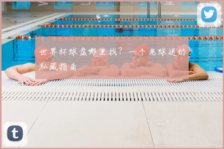 世界杯球盘哪里找?一个老球迷的私藏指南
