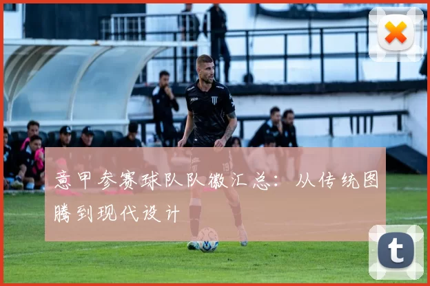 意甲参赛球队队徽汇总：从传统图腾到现代设计