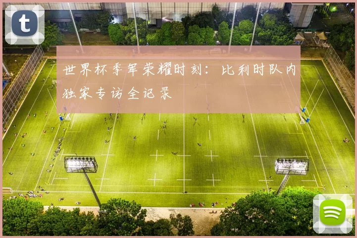 世界杯季军荣耀时刻:比利时队内独家专访全记录