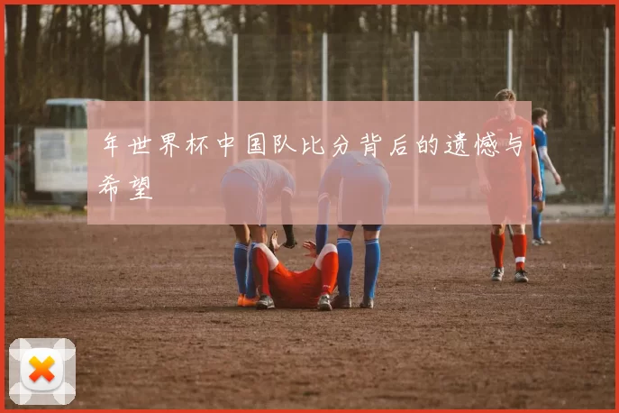 年世界杯中国队比分背后的遗憾与希望