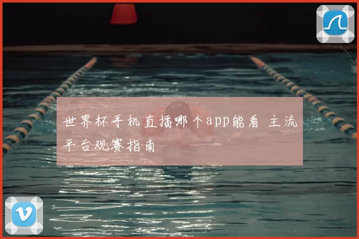 世界杯手机直播哪个app能看 主流平台观赛指南