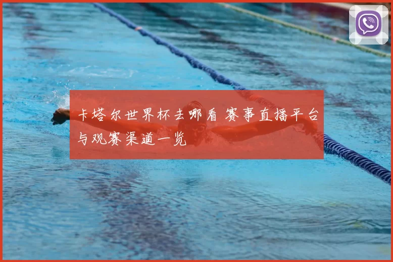 卡塔尔世界杯去哪看 赛事直播平台与观赛渠道一览
