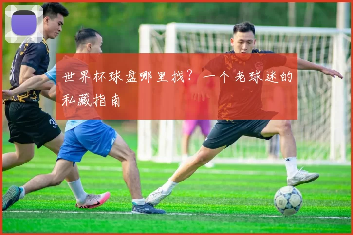 世界杯球盘哪里找?一个老球迷的私藏指南