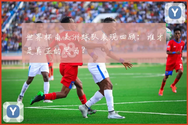 世界杯南美洲球队表现回顾:谁才是真正的黑马?