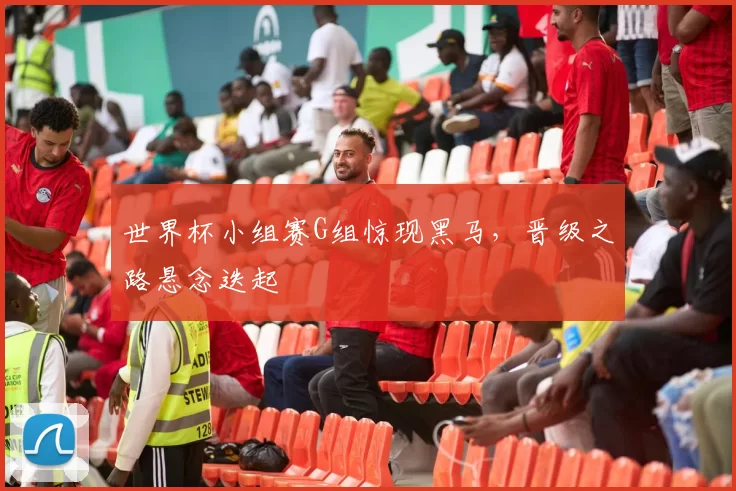世界杯小组赛G组惊现黑马,晋级之路悬念迭起