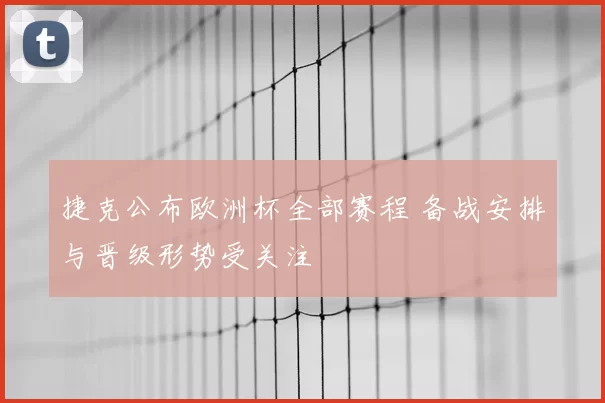 捷克公布欧洲杯全部赛程 备战安排与晋级形势受关注
