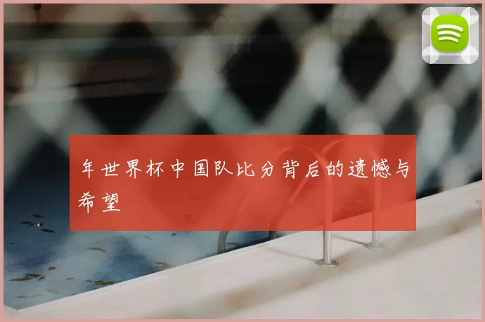年世界杯中国队比分背后的遗憾与希望