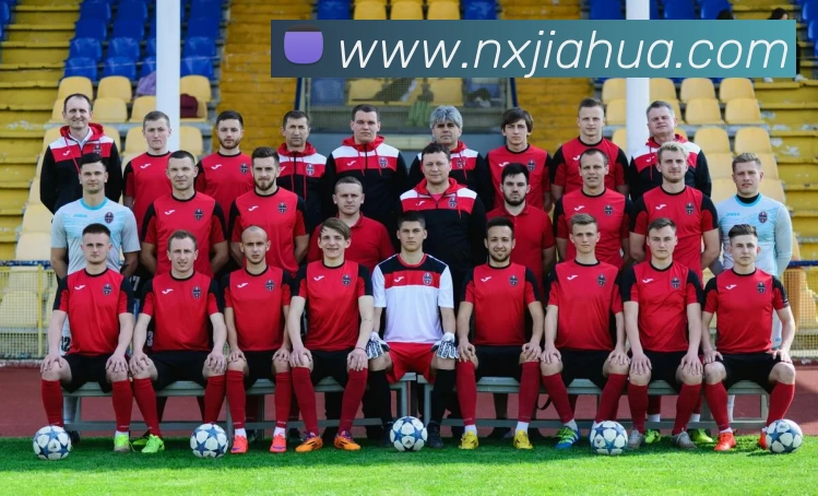 星空体育平台生态图