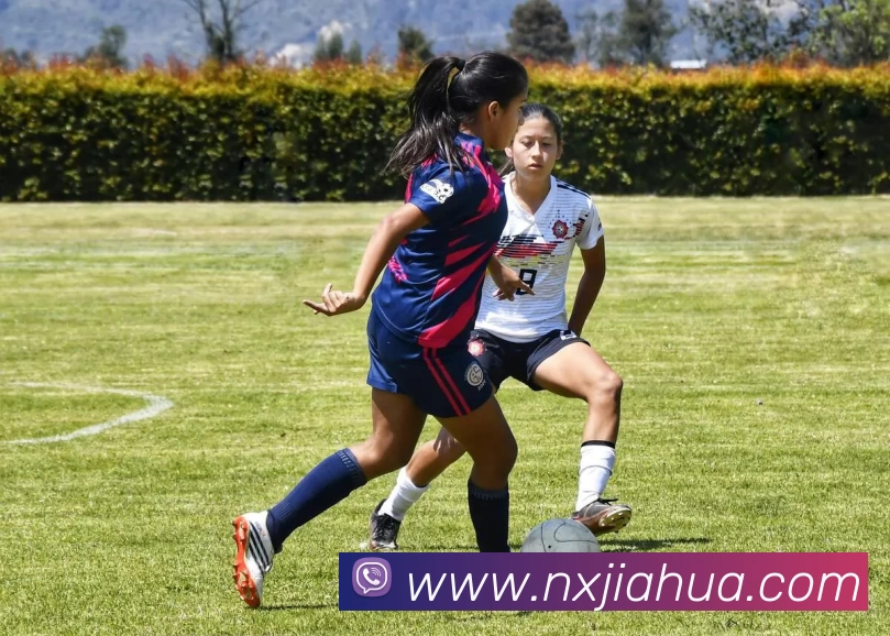 星空体育APP 封面图