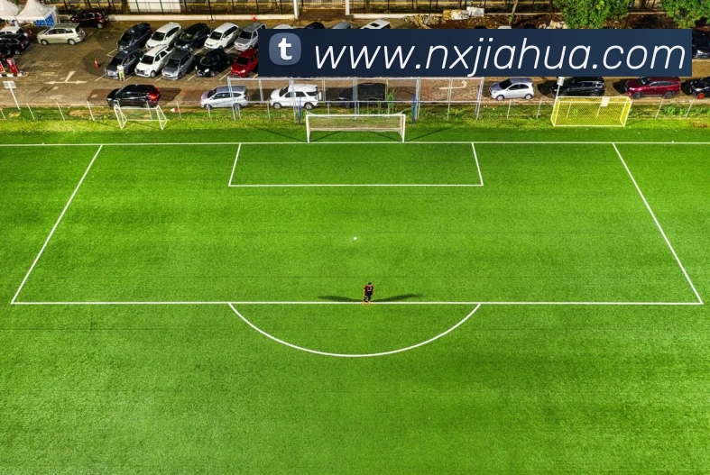 数据防护可视化